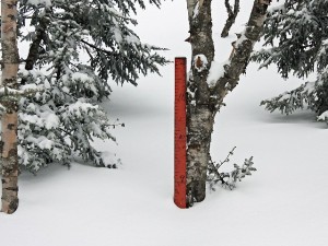 The stake atop Mt Mansfield