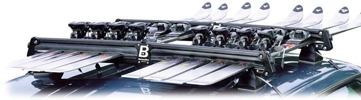 Barrecrafters discount ski rack